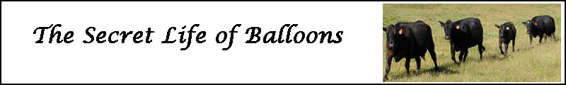 Balloons Banner