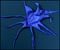 Blue on Blue