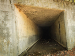 Tunnel