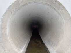 Drain Tunnel