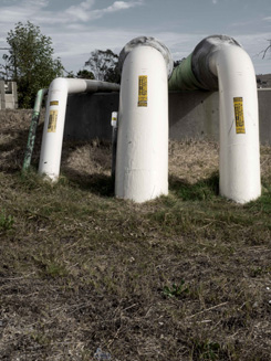 White Pipes